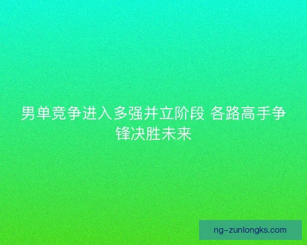 男单竞争进入多强并立阶段 各路高手争锋决胜未来