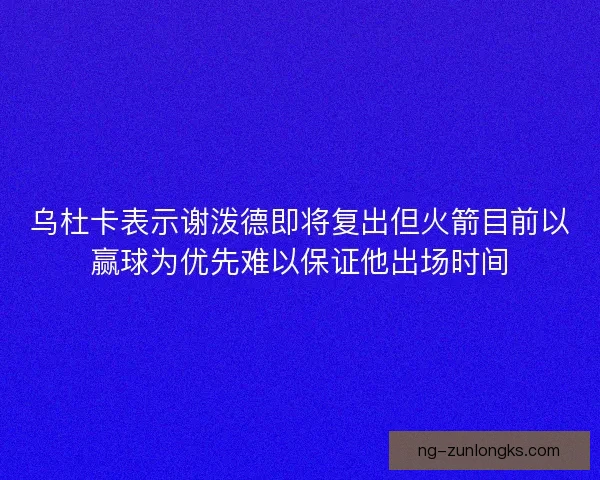 乌杜卡表示谢泼德即将复出但火箭目前以赢球为优先难以保证他出场时间