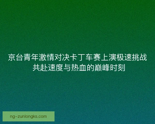 京台青年激情对决卡丁车赛上演极速挑战 共赴速度与热血的巅峰时刻 京台青年激情对决卡丁车赛上演极速挑战 共赴速度与热血的巅峰时刻