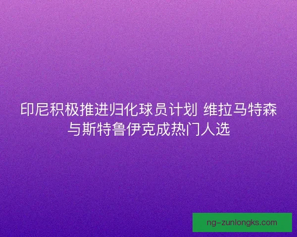 印尼积极推进归化球员计划 维拉马特森与斯特鲁伊克成热门人选