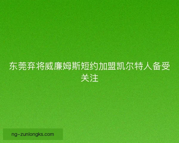 东莞弃将威廉姆斯短约加盟凯尔特人备受关注